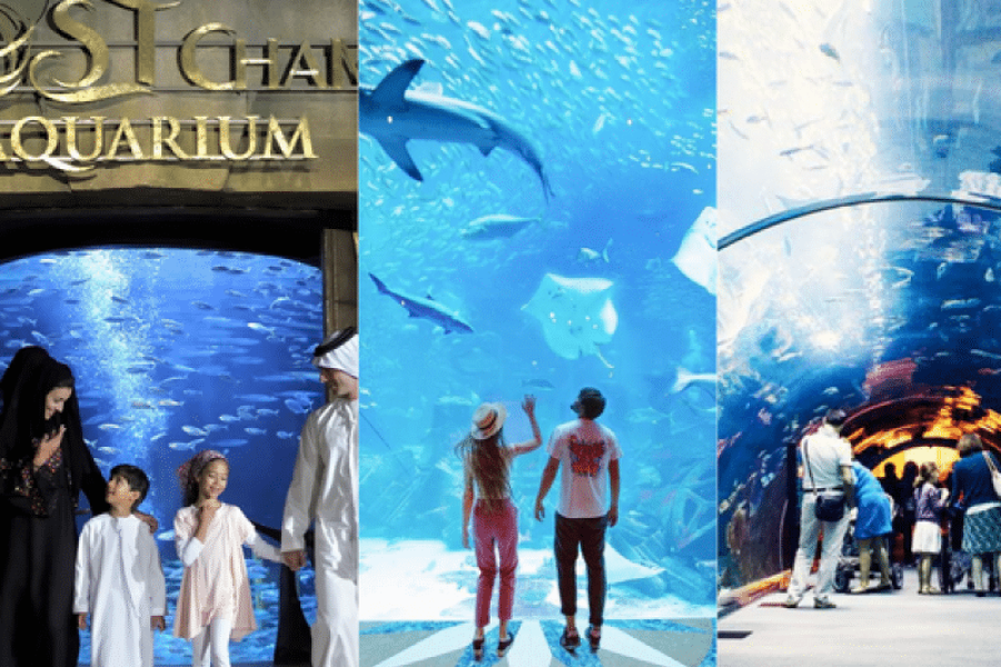 Atlantis Lost Chambers Aquarium