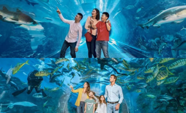 Dubai Aquarium Underwater Zoo