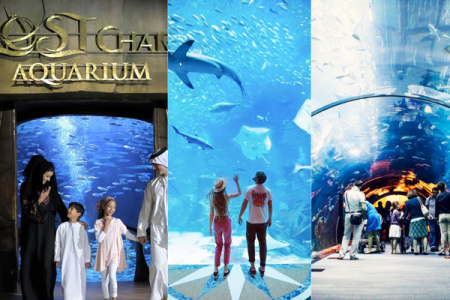 Atlantis Lost Chamber Aquarium