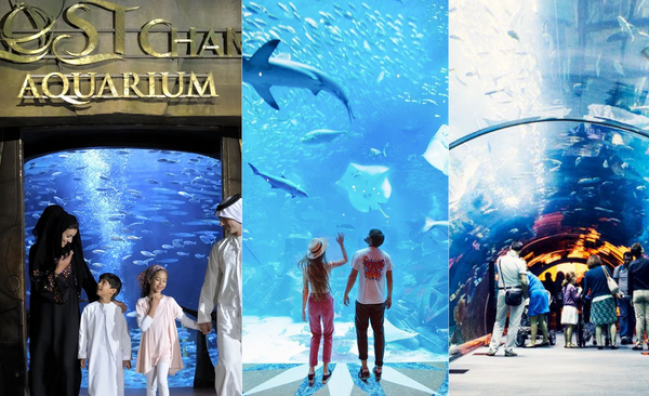 Atlantis Lost Chamber Aquarium